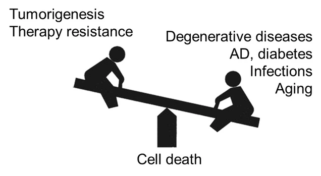 Cell Death Scale