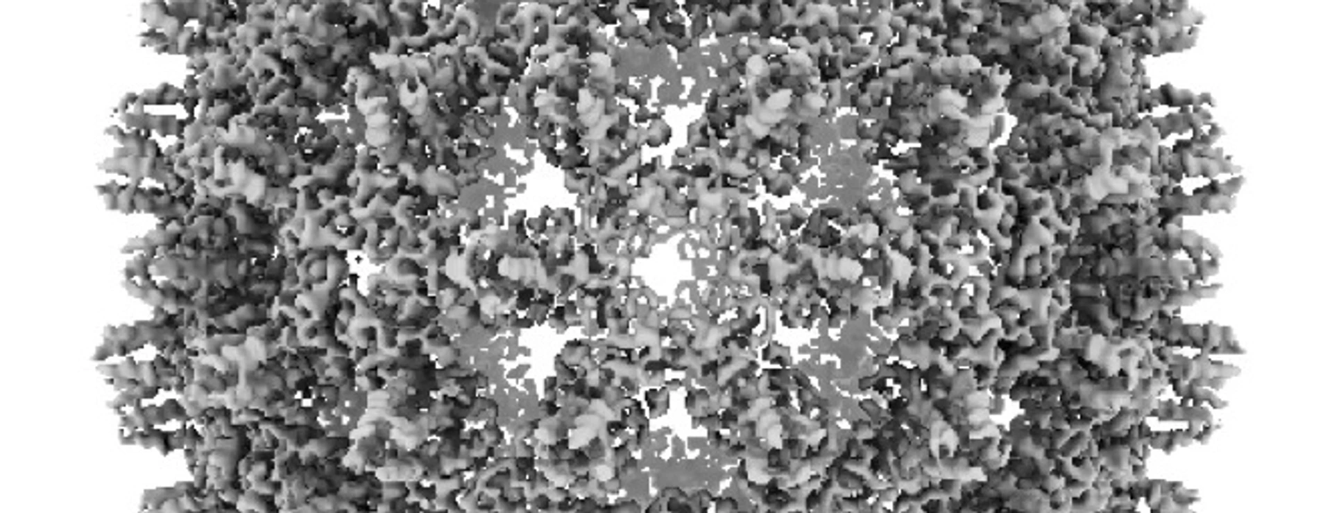 HBcore particle