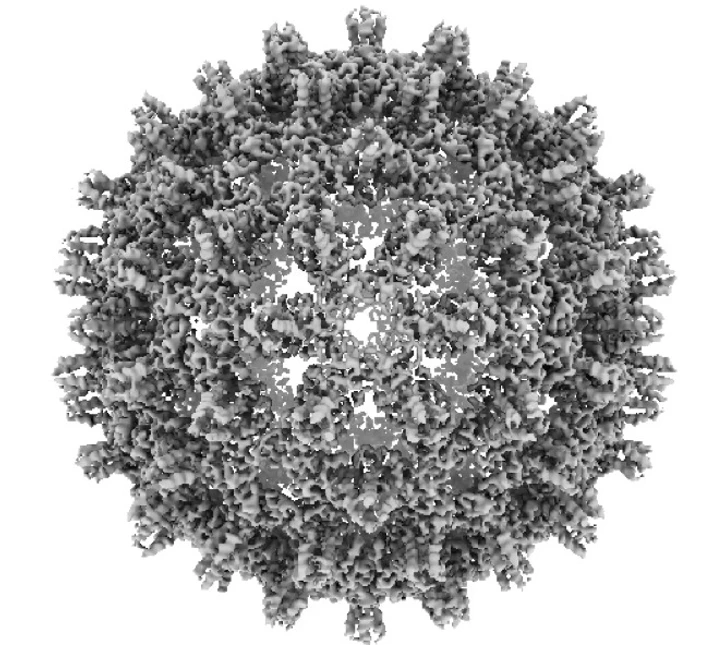 HBcore particle