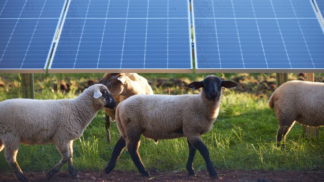 Planning permission granted for Rag Lane Solar Farm