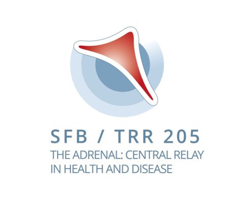 SFB/TRR 205: “The Adrenal: Central Relay in Health and Disease”