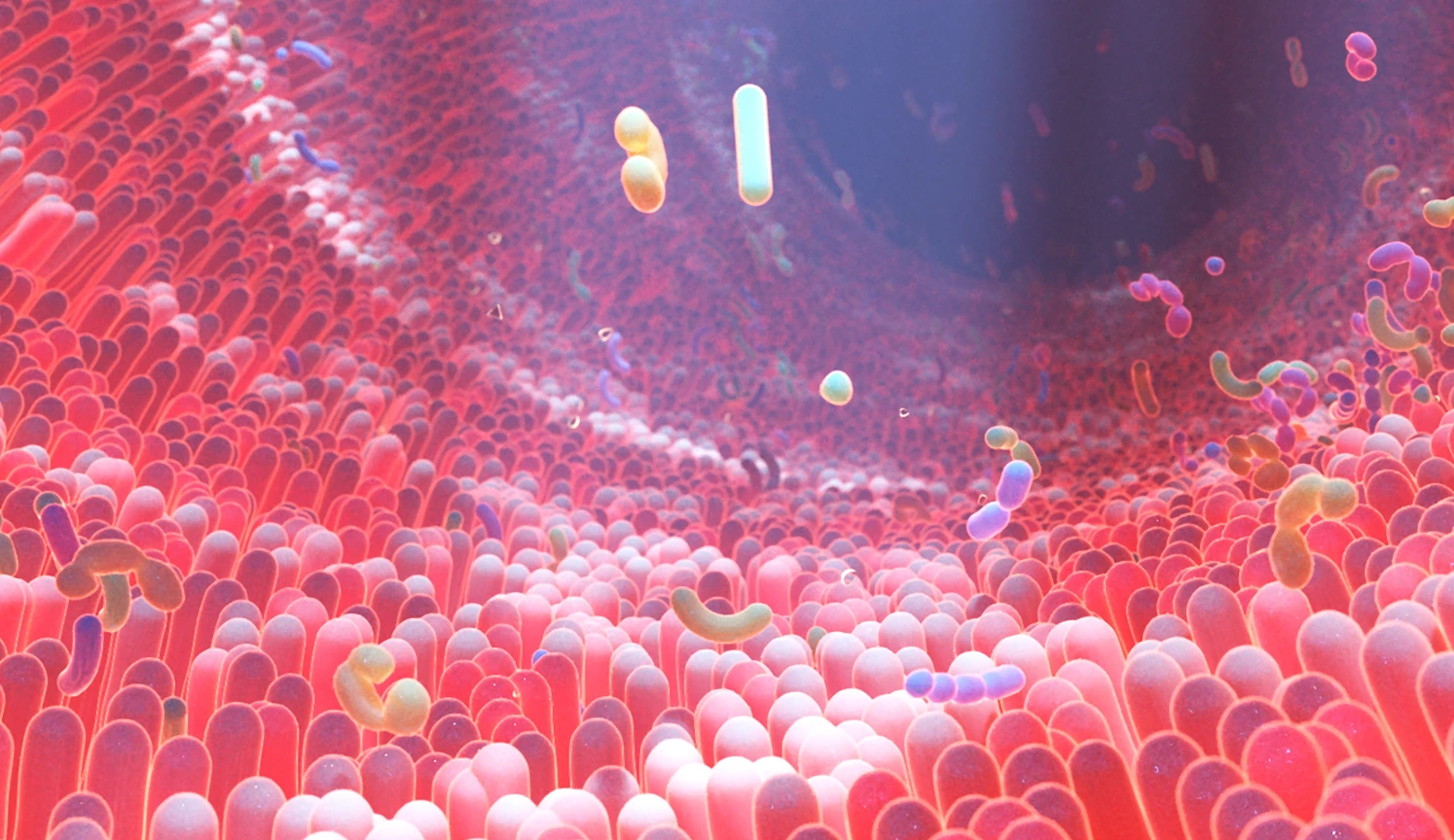 3D Rendering of Bacteria in Human Intestine