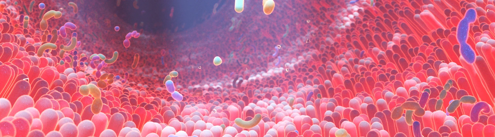 Immunsystem und Allergie