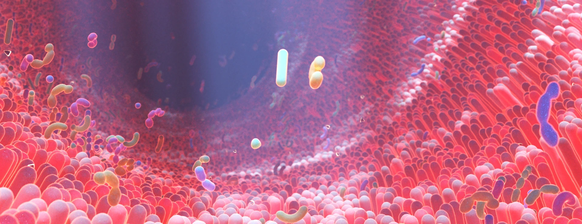 Immunsystem und Allergie