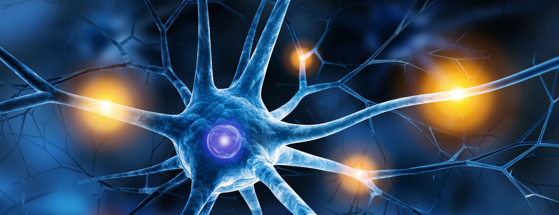 Neuron in action