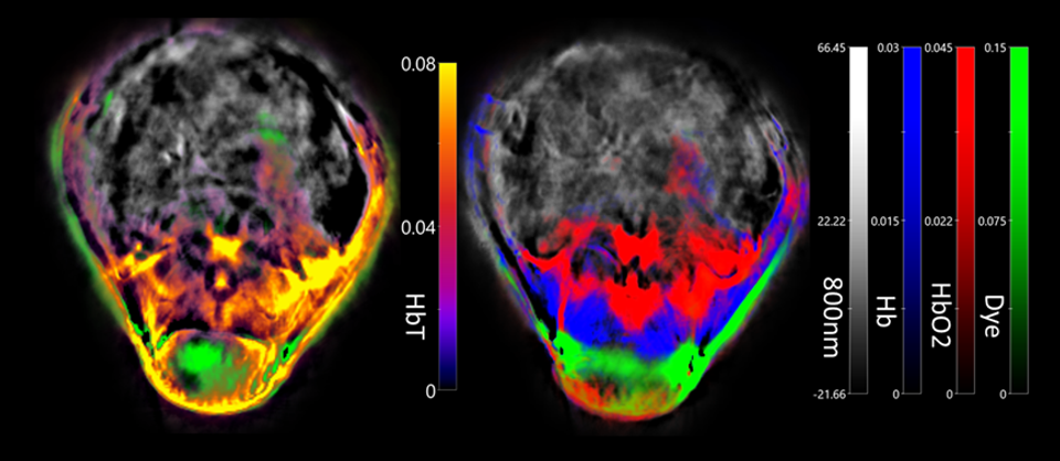 VGujrati Wissenschaftsbild