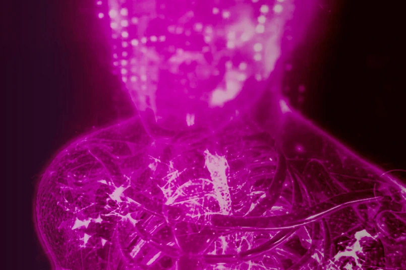 Helmholtz-Header Expert Hour