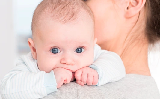 Little cute baby with big blue eyes sucking his little fist in mouth. Lying on mother's arm