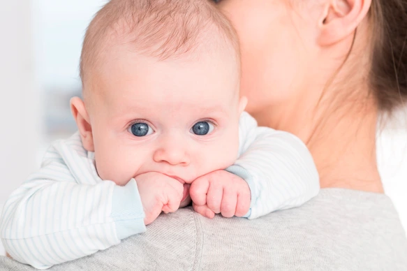 Little cute baby with big blue eyes sucking his little fist in mouth. Lying on mother's arm