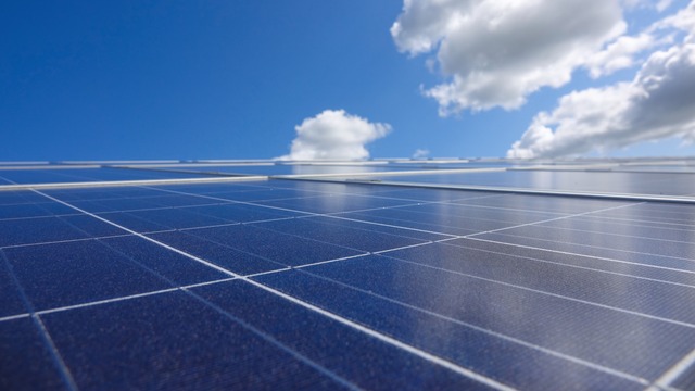 BayWa r.e. secures land for largescale PV farm in Sweden