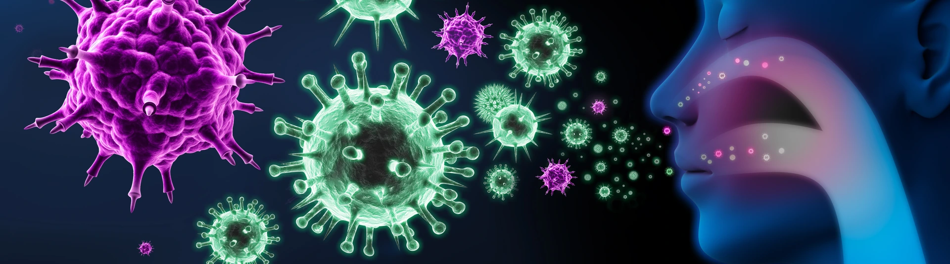Immunsystem und Allergie - Atemwegsinfekte
