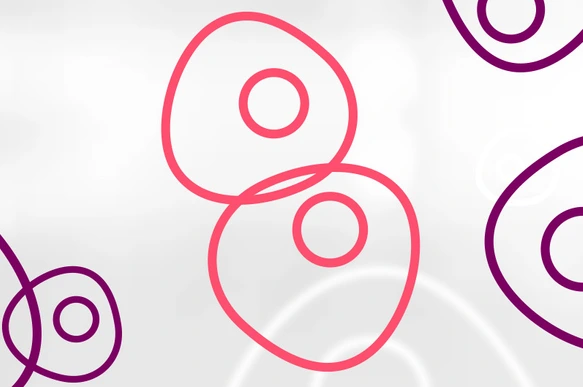 HMGU_Icon_Stem_Cells