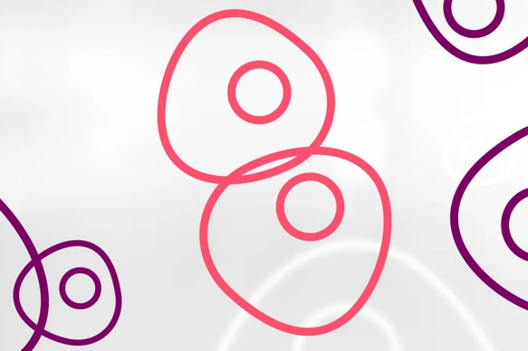 HMGU_Icon_Stem_Cells