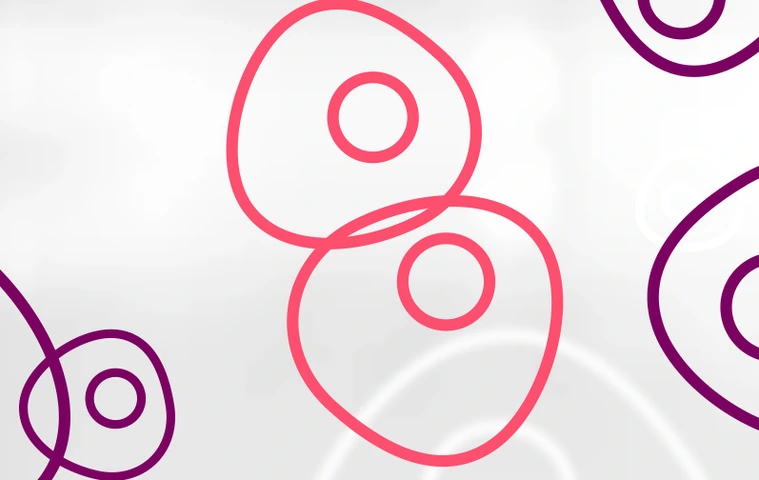 HMGU_Icon_Stem_Cells
