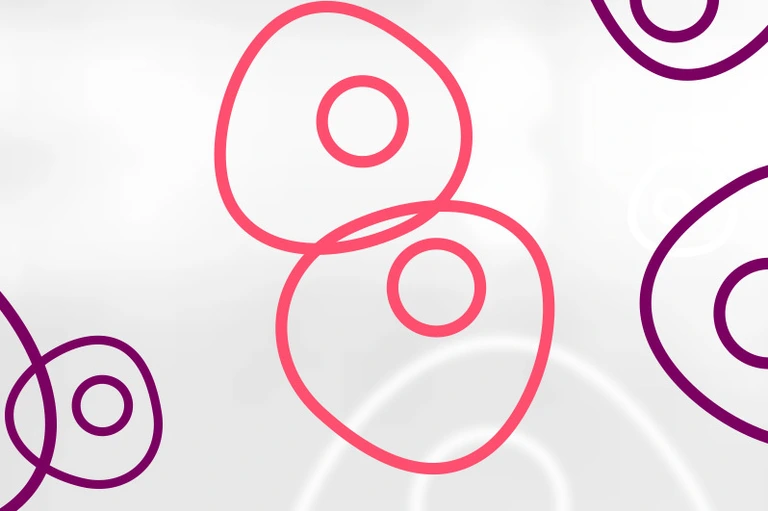 HMGU_Icon_Stem_Cells