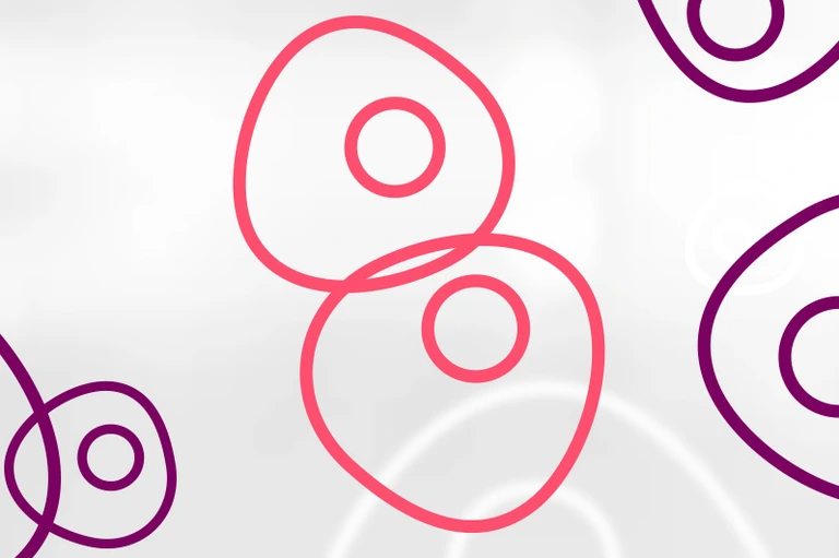 HMGU_Icon_Stem_Cells