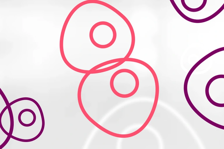 HMGU_Icon_Stem_Cells