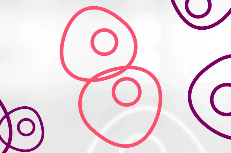 HMGU_Icon_Stem_Cells