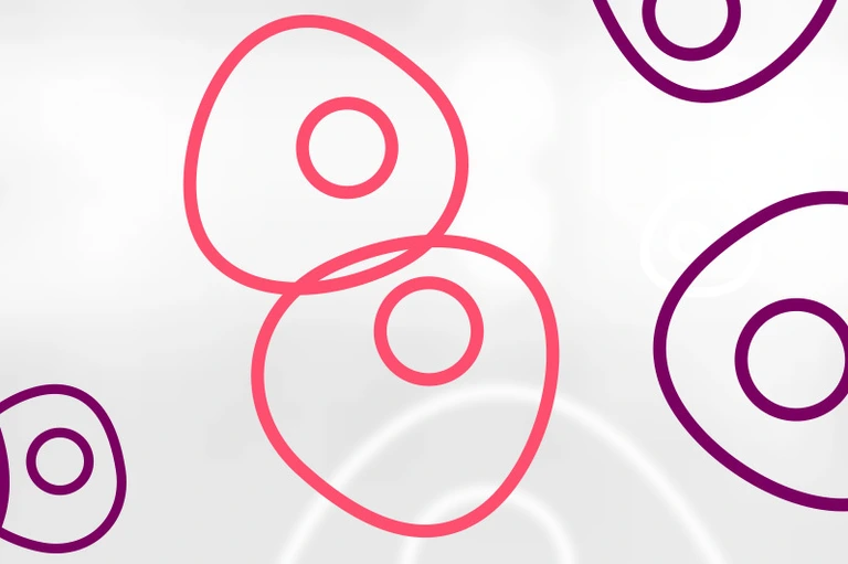 HMGU_Icon_Stem_Cells