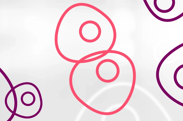 HMGU_Icon_Stem_Cells