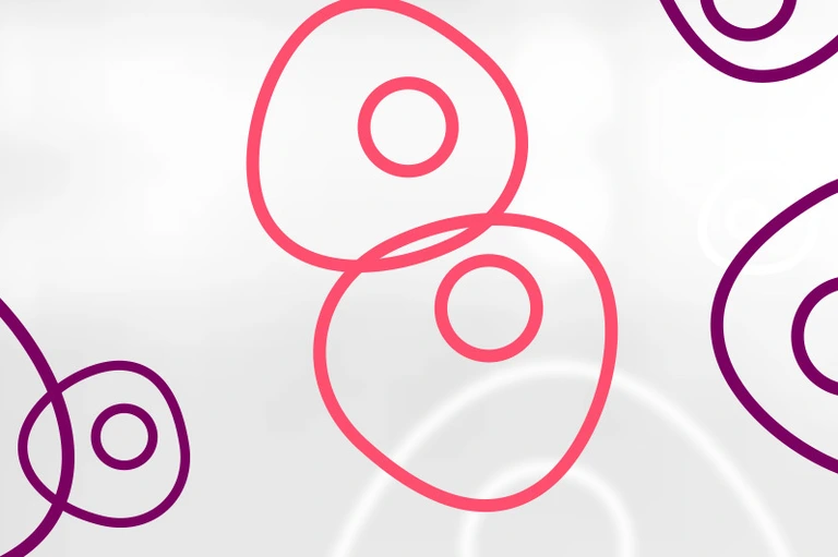 HMGU_Icon_Stem_Cells