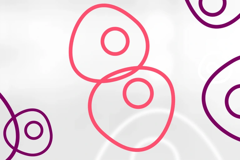 HMGU_Icon_Stem_Cells