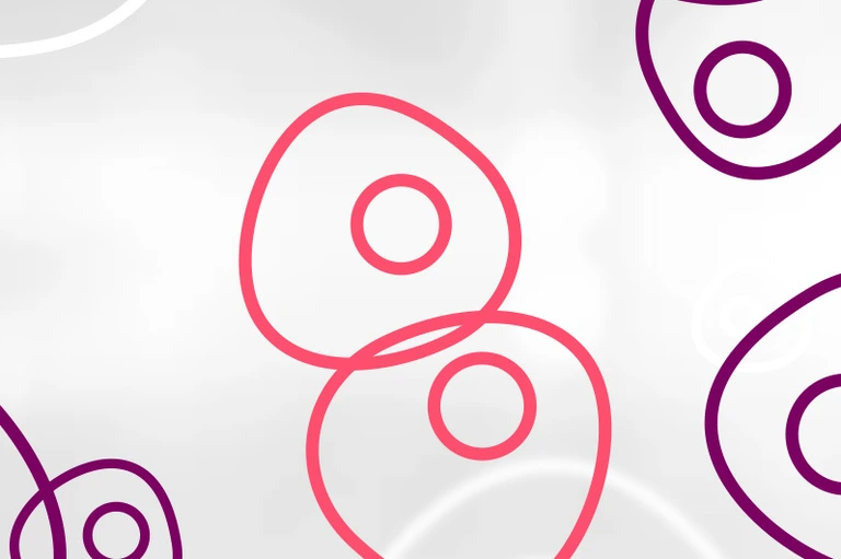 HMGU_Icon_Stem_Cells