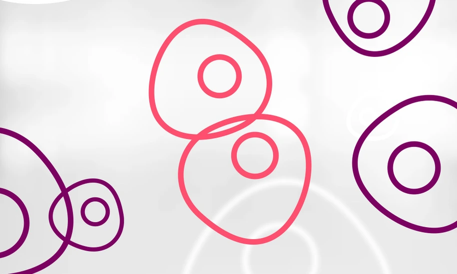 HMGU_Icon_Stem_Cells