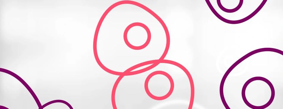 HMGU_Icon_Stem_Cells