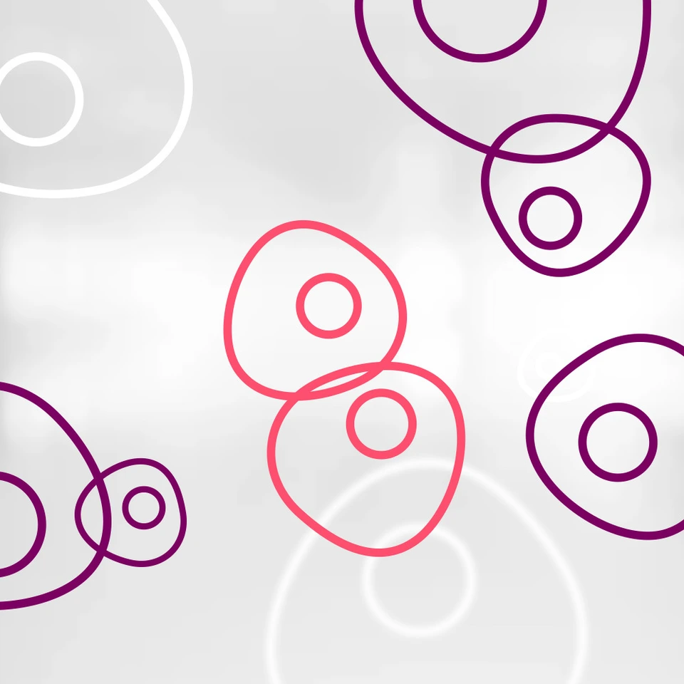 HMGU_Icon_Stem_Cells