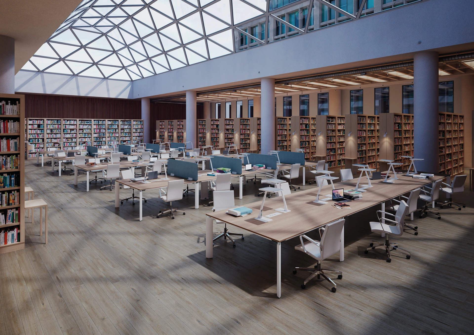 PALMA Multipanel Ambiente
Library_Still.tif