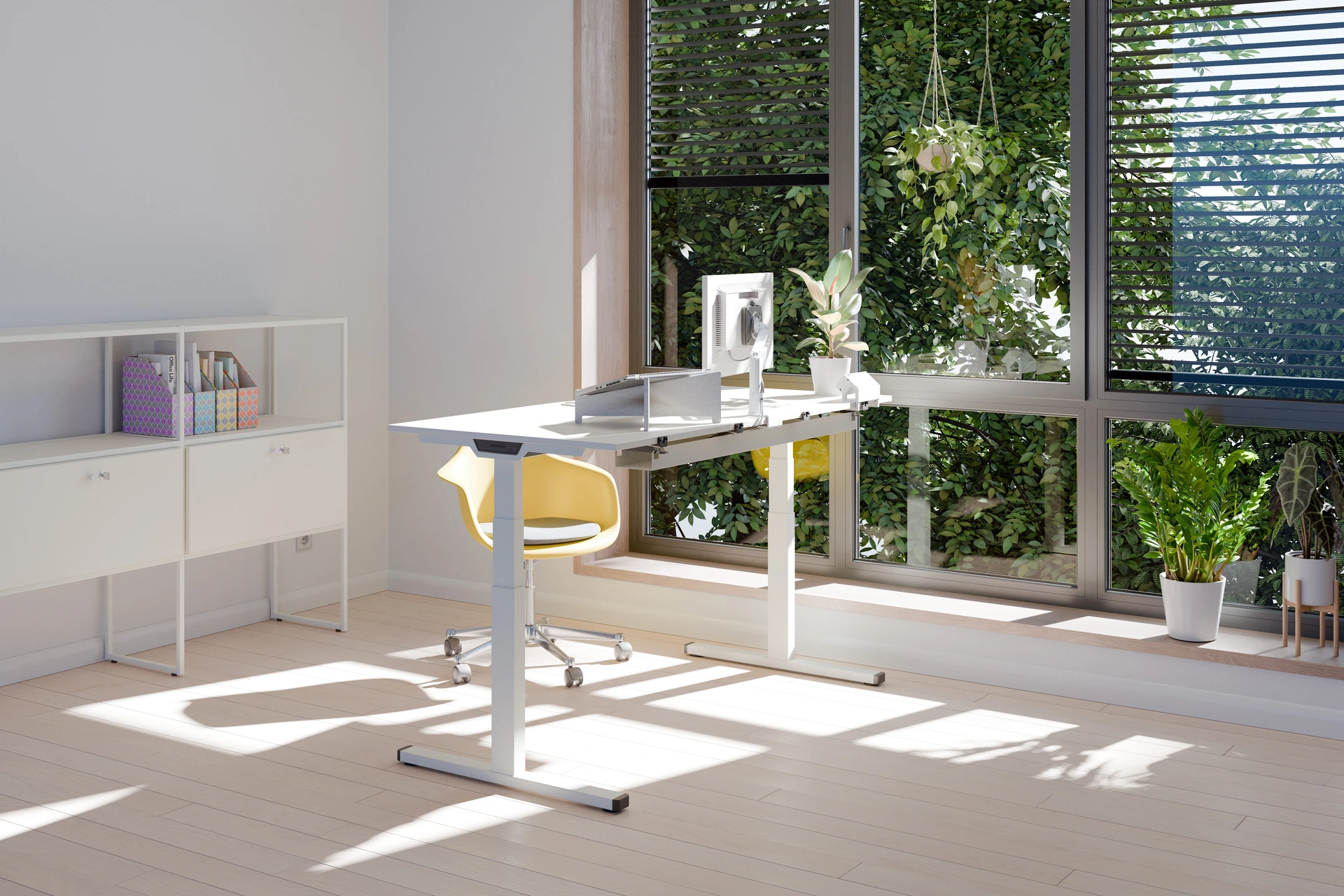 AcMedia Image