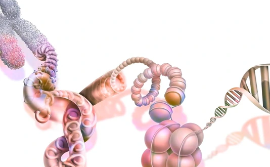 DNA compaction