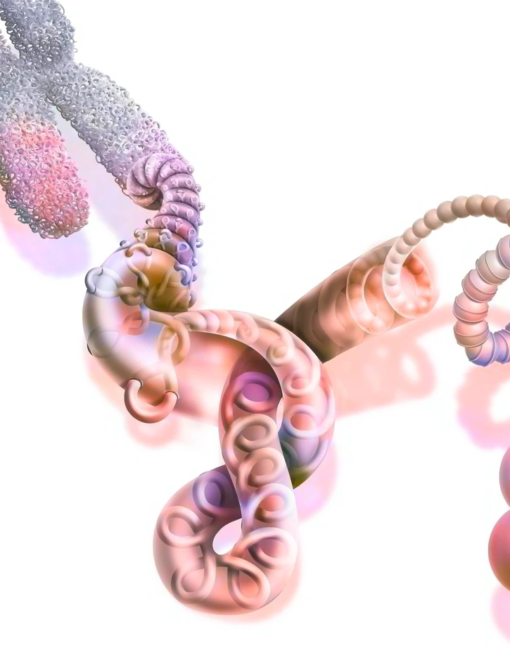 DNA compaction