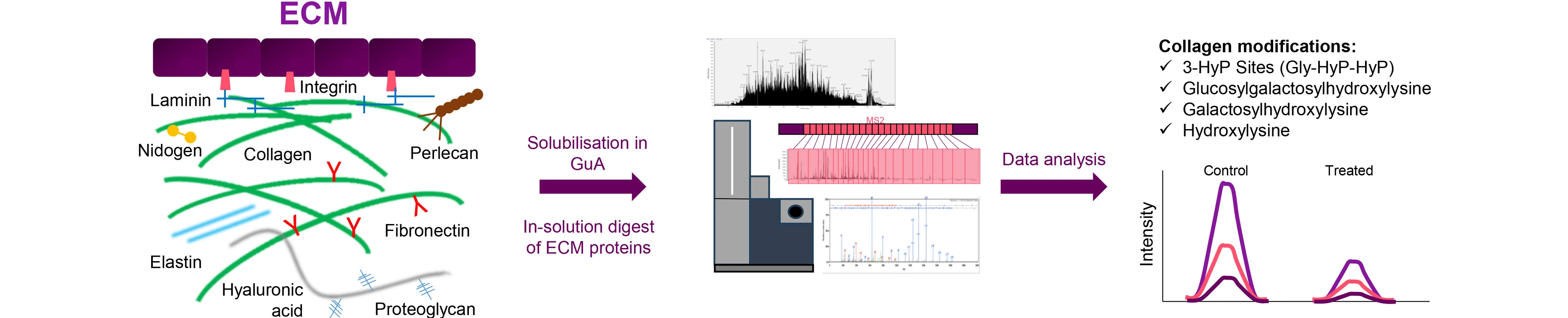 Extracellular matrix profiling
