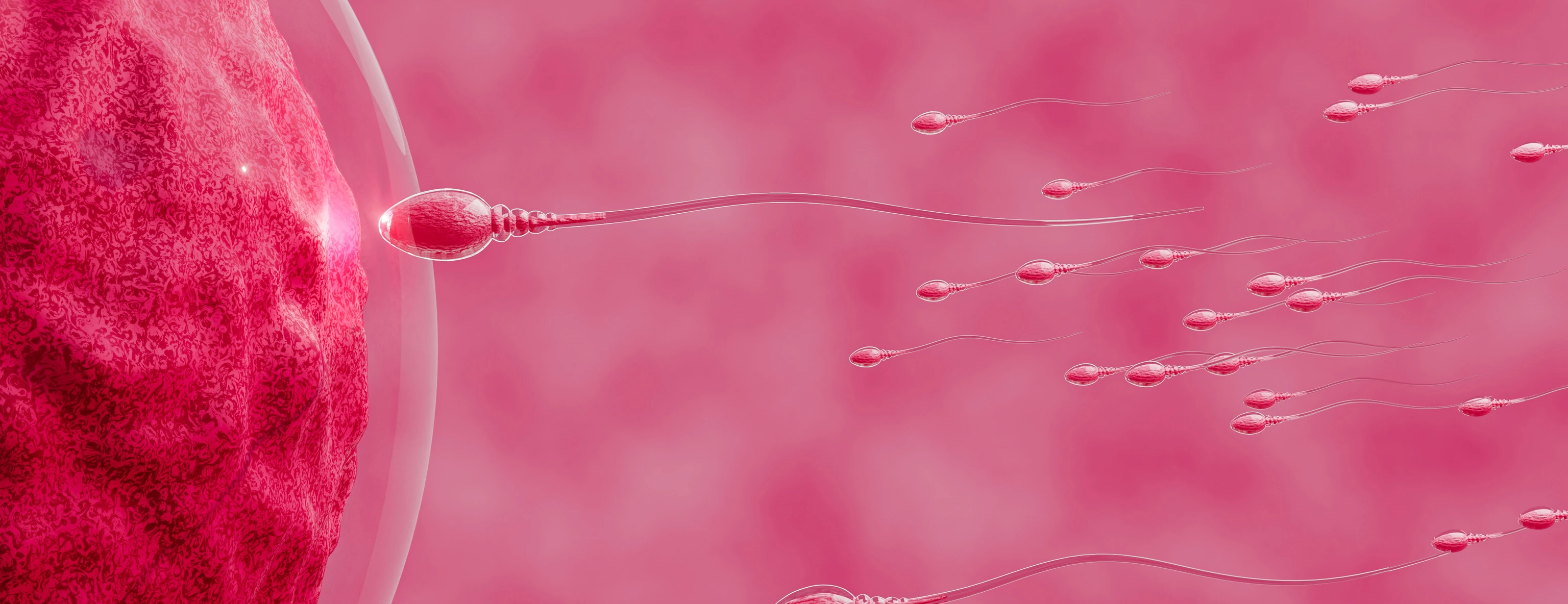 [Translate to German:] 