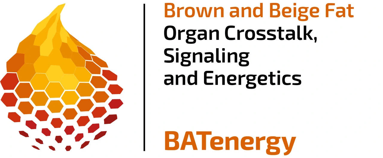 BATenergy CRC TRR333 Logo