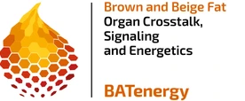 BATenergy CRC TRR333 Logo