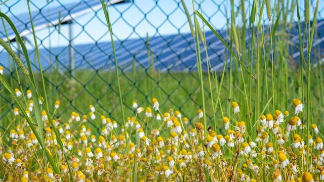 solar park