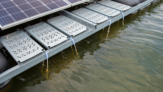 Floating-PV close-up