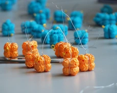 Epigenetic modification representation