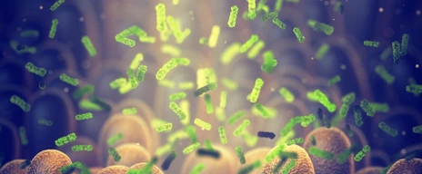 Mikrobiom und Allergie