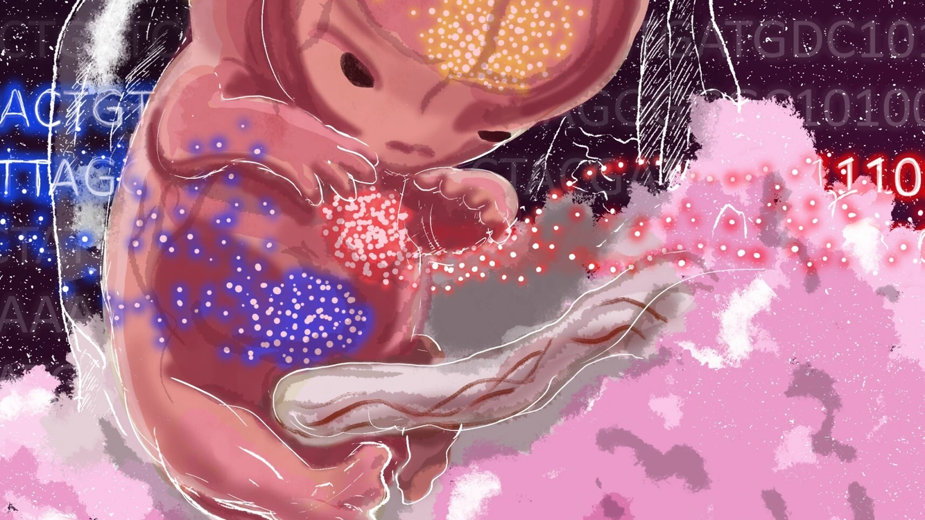 Exhibition Stem Cells at Deutsches Museum_For Website