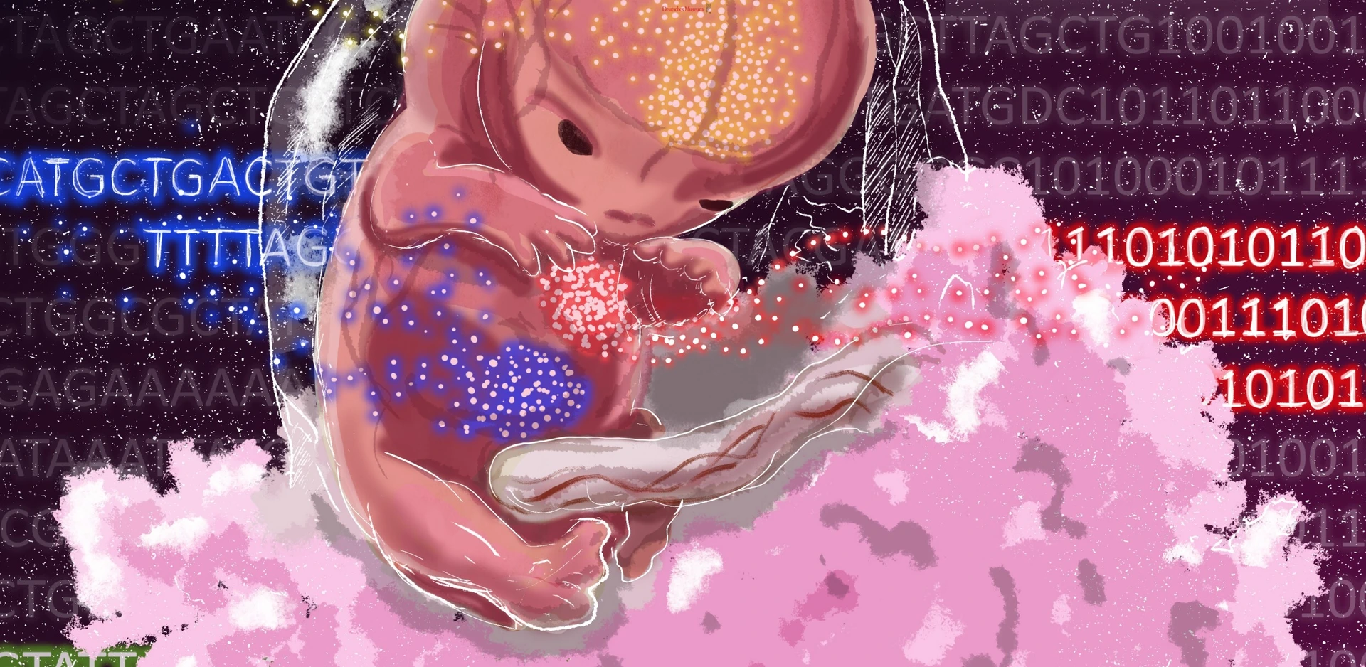 Exhibition Stem Cells at Deutsches Museum_For Website