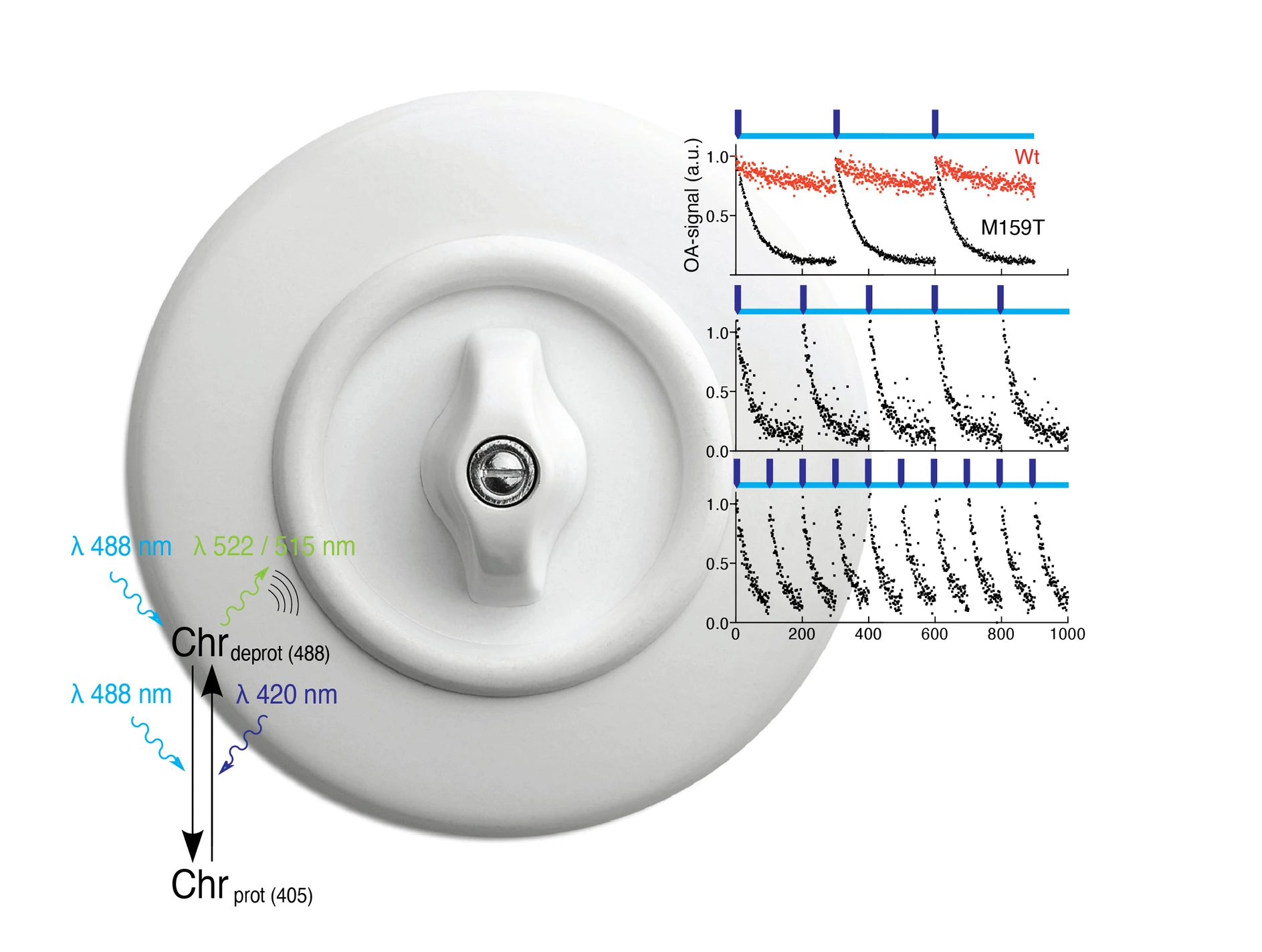 turn key switch tuMSOT