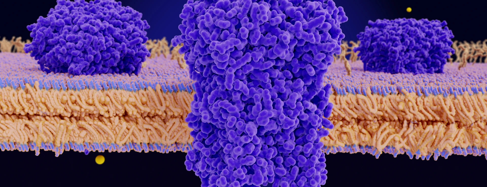 Chloride channels conducting chloride ions across a cell membrane