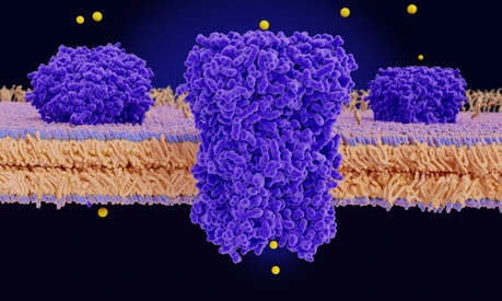 Chloride channels conducting chloride ions across a cell membrane