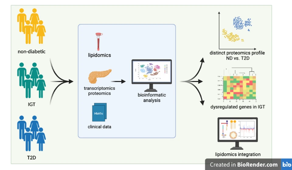 210628_GraphicalAbstract_NatMetab_Paper_Biorender