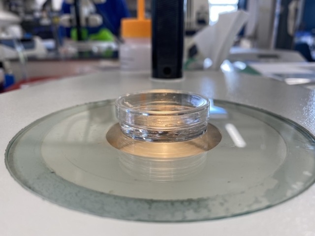 Art_The_IES_IMG_1206