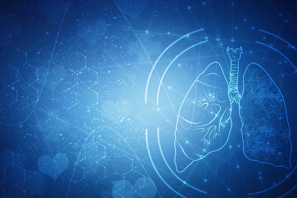 Healthy Human Lungs 2d illustration